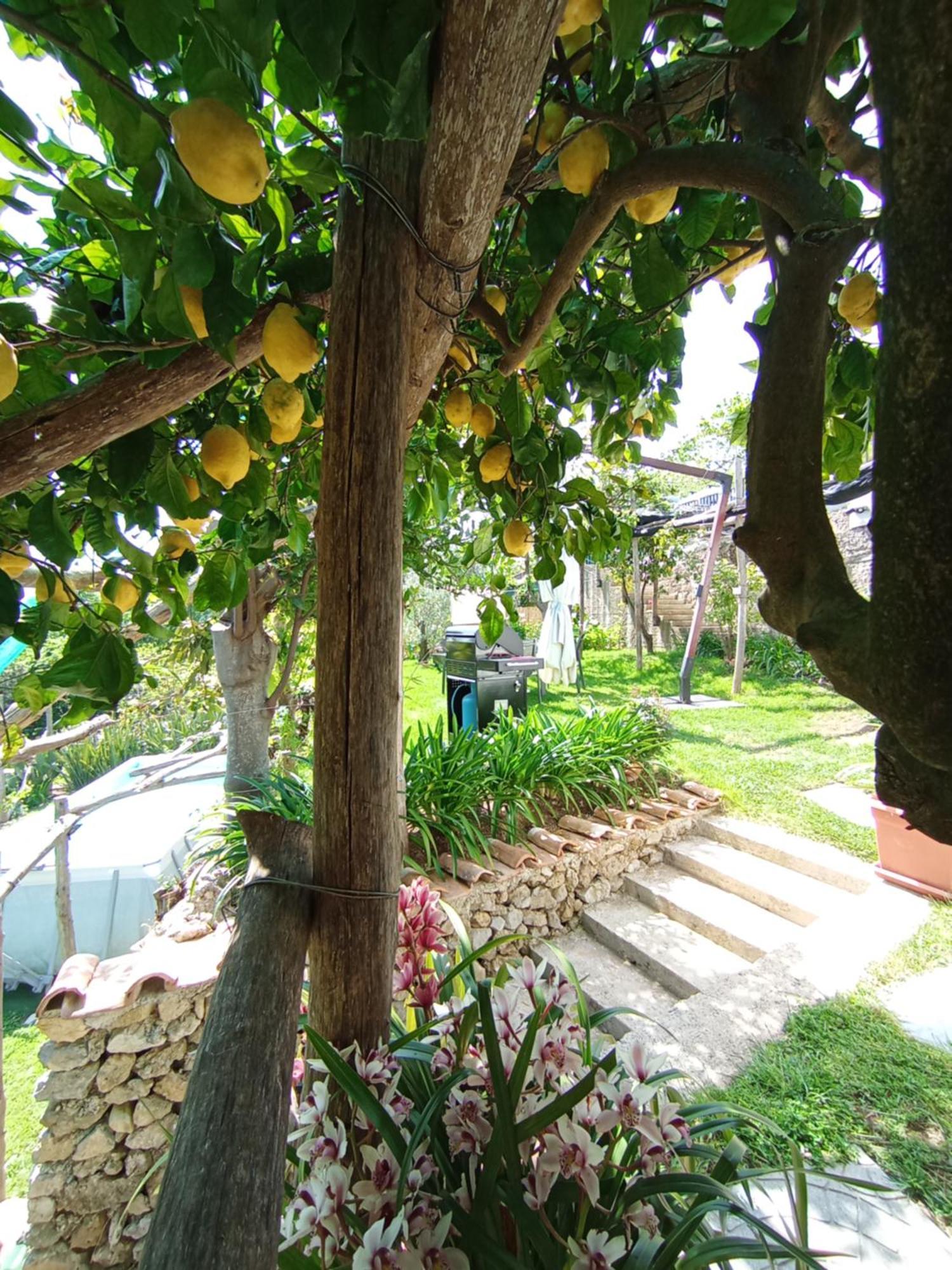 Villa Casa Mia à Scala Extérieur photo